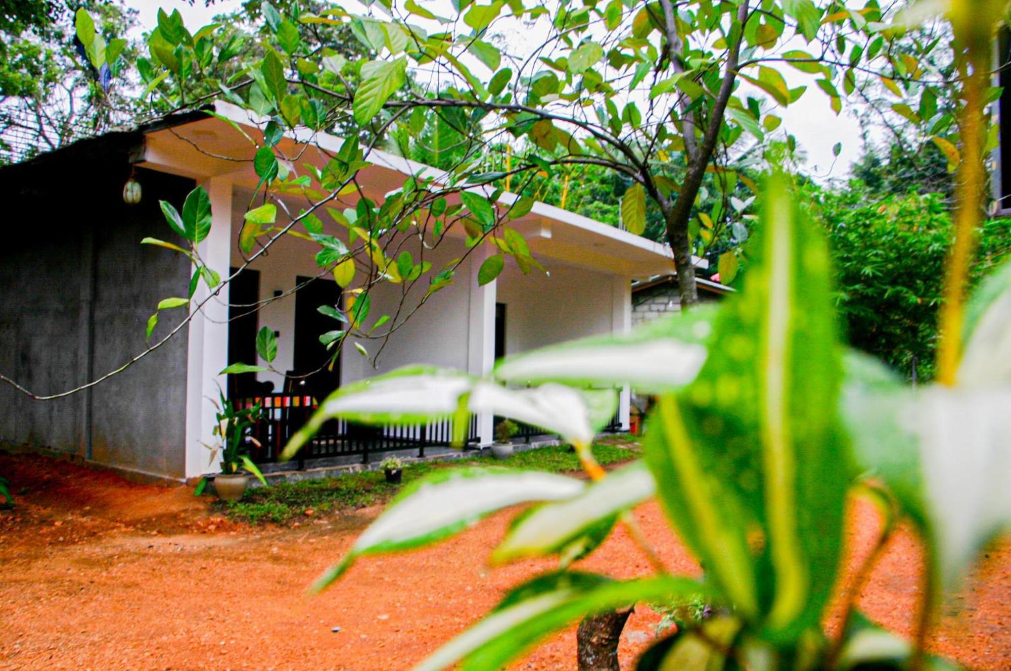 Sigiri Heaven Villa Сигирия Екстериор снимка