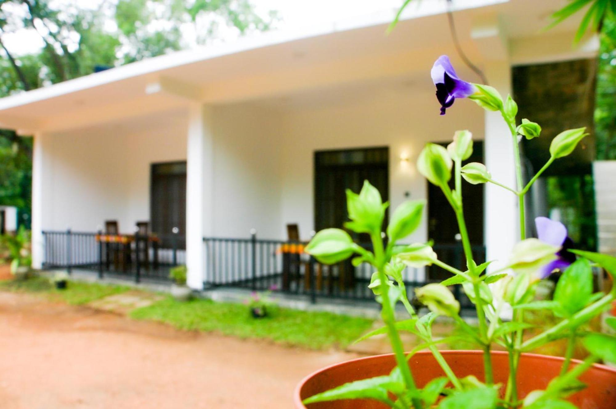 Sigiri Heaven Villa Сигирия Екстериор снимка